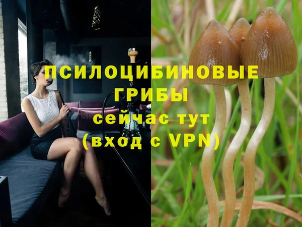 скорость mdpv Липки