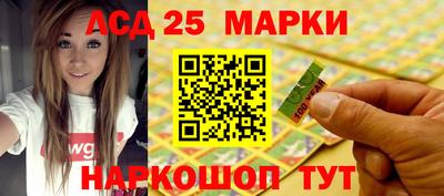 spice Гатчина