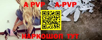 spice Гатчина