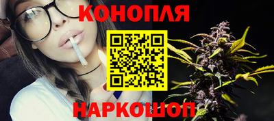 spice Гатчина