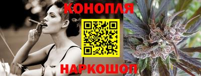 spice Гатчина