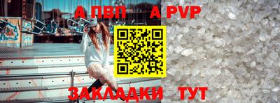 spice Гатчина