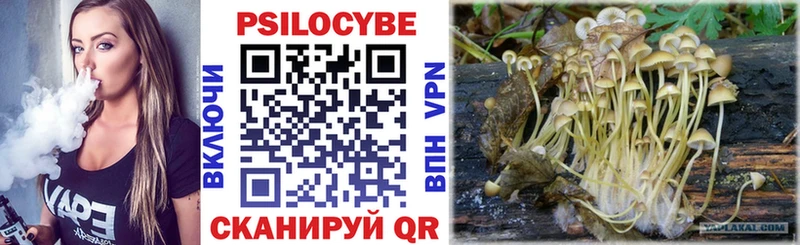 Псилоцибиновые грибы GOLDEN TEACHER  Новомосковск 