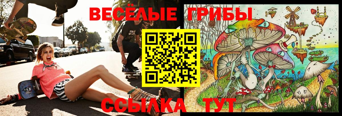 Галлюциногенные грибы Cubensis  Новомосковск  Псилоцибиновые грибы прущие грибы 